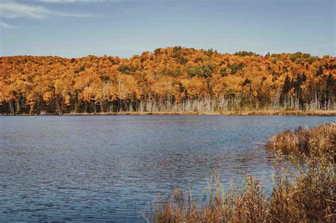 Best Skimboarding Spots in Vermont