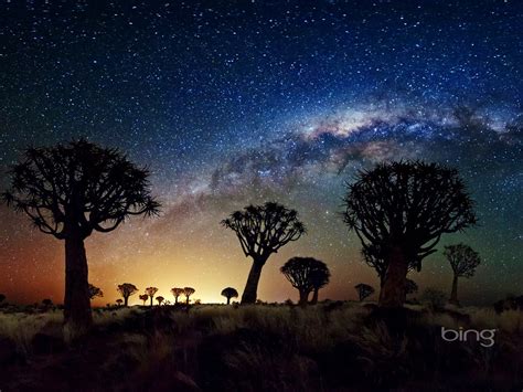 Bing Wallpaper Night Sky 的图像结果
