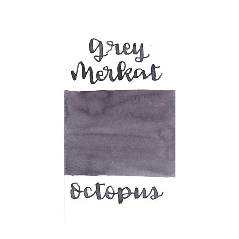 Octopus Write & Draw Ink Bottle, Grey Merkat - 50ml – Makoba