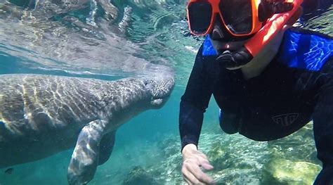 MAYHEM RANCH (2025) All You Need to Know BEFORE You Go (with Photos ...