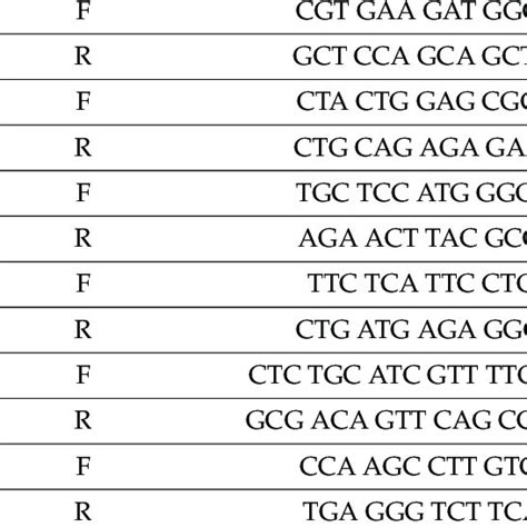 Image result for PCR Primer Example