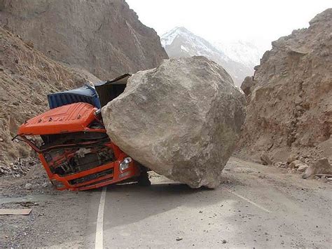 Tree Felling Fails 的图像结果