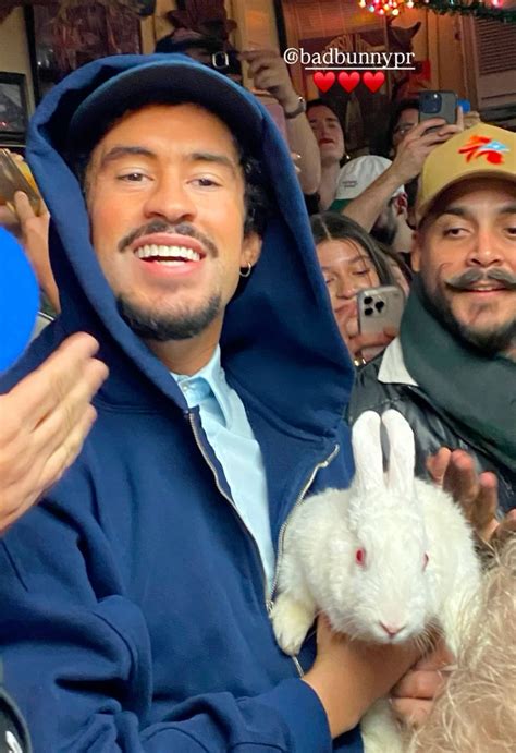 16 Bad bunny costume ideas in 2025 | bunny, bunny pictures, bad bunny ...