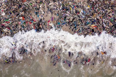 Mejor fotógrafo ambiental 2022: las imágenes ganadoras | EL ESPECTADOR