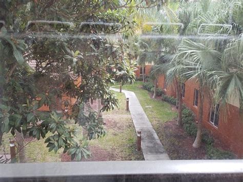 HYATT HOUSE MIAMI AIRPORT - Hotel Reviews, Photos, Rate Comparison ...