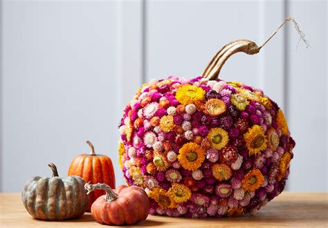 50+ pumpkin decorating ideas for Halloween and fall festivities