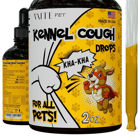 What Kills Kennel Cough On Surfaces