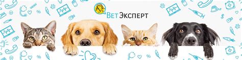 ВетЭксперт — ветеринар онлайн 24/7 | «ВетЭксперт» – помогаем заботиться ...