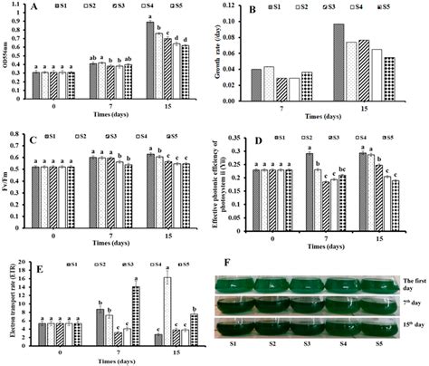 Transcriptome Analysis of Spirulina platensis sp. at Different Salinity ...
