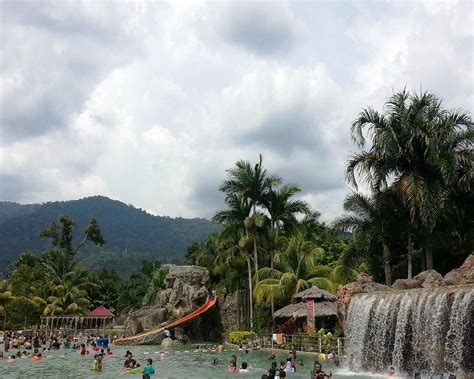 Image result for Sungkai Tree West Java