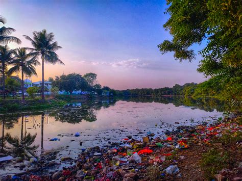 Environmental Pollution 的图像结果