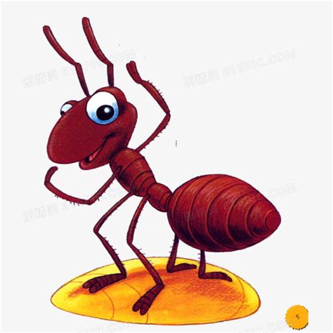 了解蚂蚁的习性，才能有效的对付它！卡尔科学实验室第205期 - 每日头条