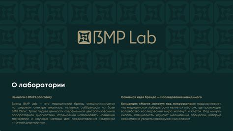 Image result for Sample BMP Lab
