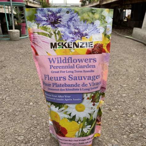 Wildflowers Perennial Garden (McKenzie Seeds) – Covers 700 Sq. Ft ...