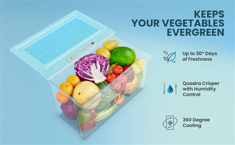 IFB 243L 2 Star Frost Free inverter with Double Door Refrigerator ...