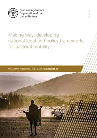 Buy Making way: developing national legal and policy frameworks for ...