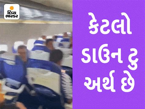 Fans were surprised to see Kartik Aryan in economy class, received a ...