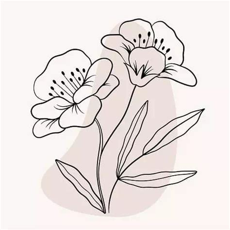 Image result for Minimalist String Drawing Flower