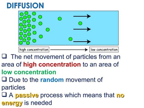 Diffusion Process Examples 的图像结果