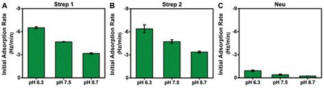 Distinct Binding Properties of Neutravidin and Streptavidin Proteins to ...
