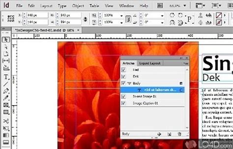 Image result for Windows InDesign