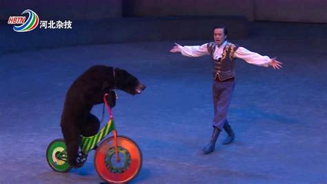 观看潍坊商谷的皇家马戏团，熊和马轮番在舞台“埋雷”，场面搞笑,综艺,魔术,好看视频