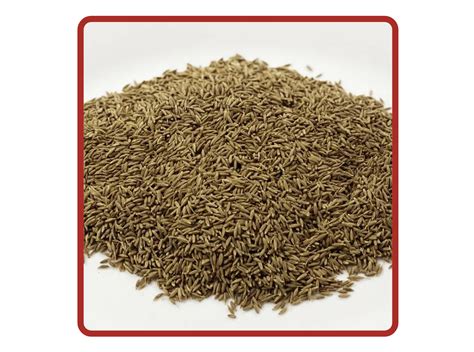 Shahi Jeera | Buy Shahi Jeera Online | Kalan Masale