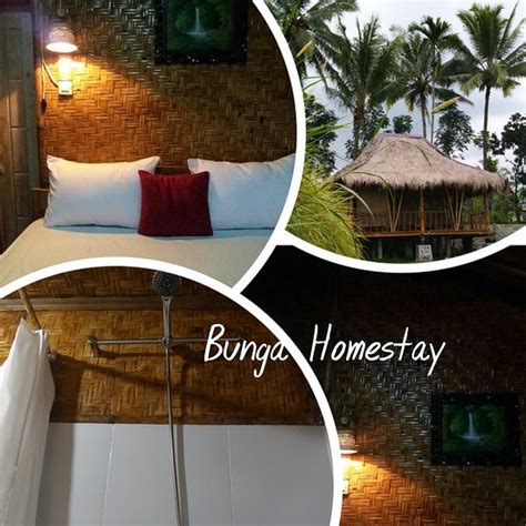 BUNGA HOMESTAY (Kembang Kuning) - Guesthouse Reviews & Photos - Tripadvisor