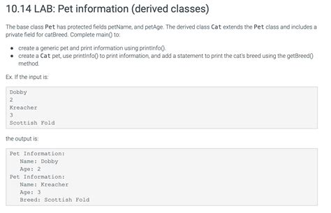Virtual Pet Java Code Part 2 的图像结果