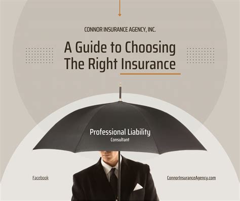 Liability Insurance Example 的图像结果