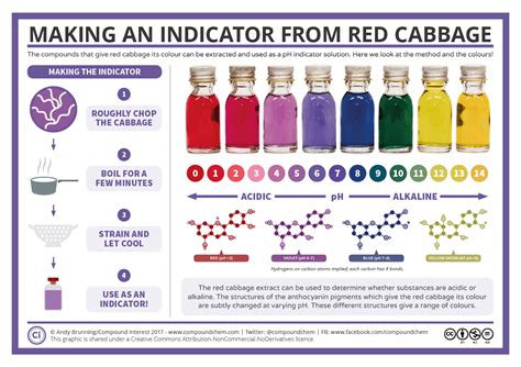 Image result for Red Cabbage Indicator Chart