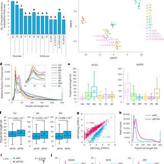 RNA Polya 的图像结果
