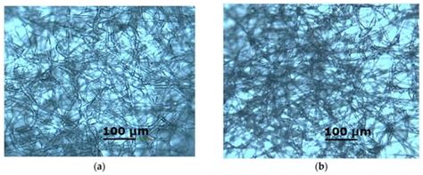 Impact of Water and UV Irradiation on Nonwoven Polylactide/Natural ...
