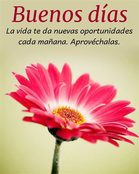 Good Morning In Spanish Quotes Greetings Song In Spanish Mis Clases