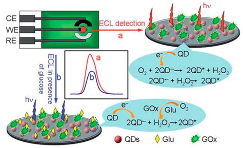 Biosensors | Special Issue : Dedication to Professor Agustín Costa ...