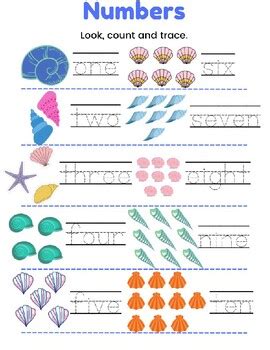 Image result for Nautical Shell Math