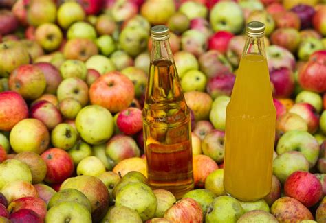 Apple Cider And Juice Difference at Terry Stephen blog