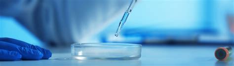 Image result for Biocompatibility Test