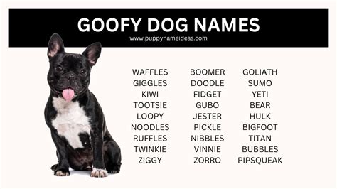 180+ Goofy Dog Names - Puppy Name Ideas