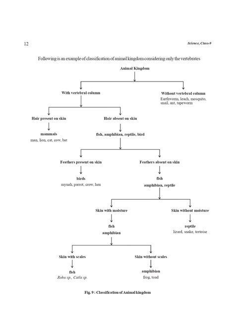 Image result for Class 9 CBSE Science Book