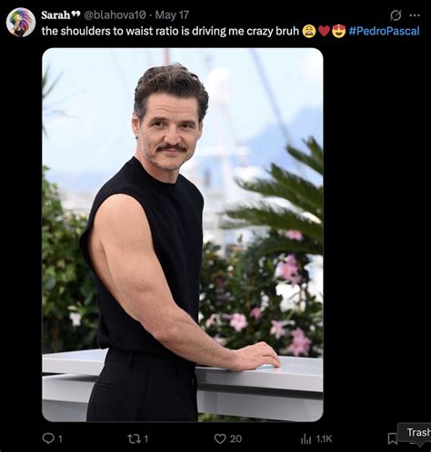 Image result for Pascal Muscle