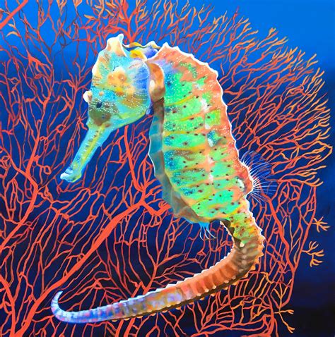 Seahorse Colorful
