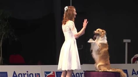 狗狗舞蹈世界锦标赛精彩节目，实在太优雅了_凤凰网视频_凤凰网