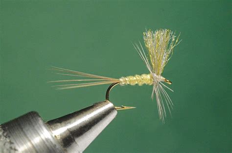 Image result for PMD Fly Pattern
