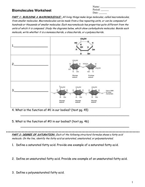 Biomolecules Coloring Worksheet Answer Key - Free Worksheets Printable