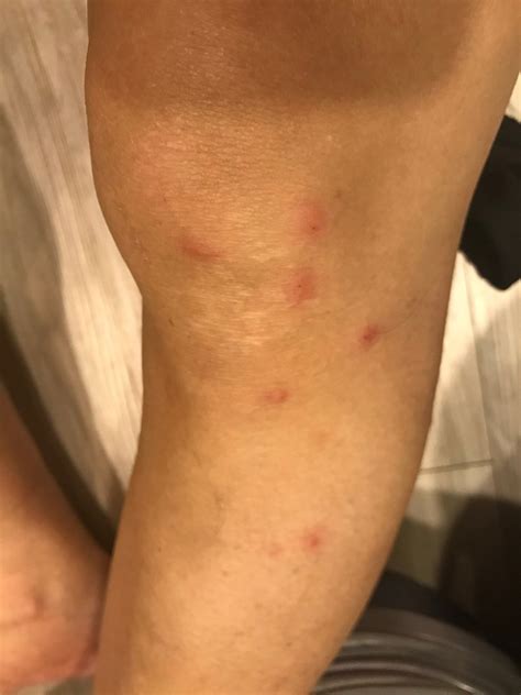 CHAMPION HOTEL CITY (Singapore) - Hotel Reviews, Photos, Rate ...