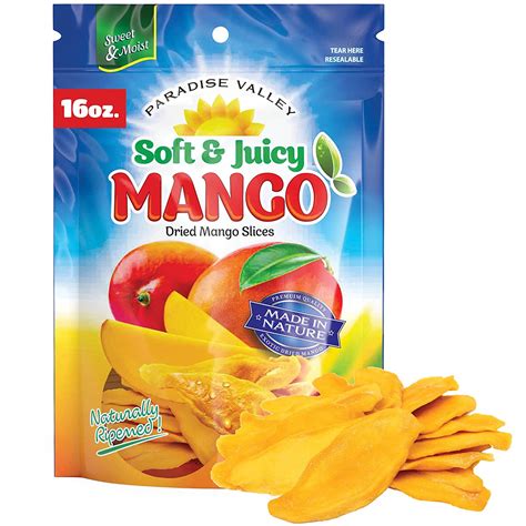 Paradise Valley Gluten-Free Unsweetened Dried Mango Slices, Healthy ...