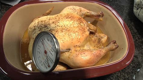 Chicken: How to Properly Take the Internal Temperature with a Meat ...