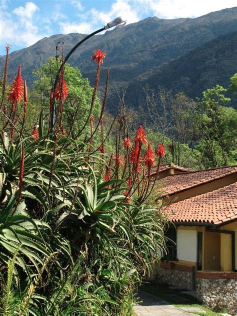 ESTANCIA SAN FRANCISCO (Merida) - Hotel Reviews & Photos - Tripadvisor