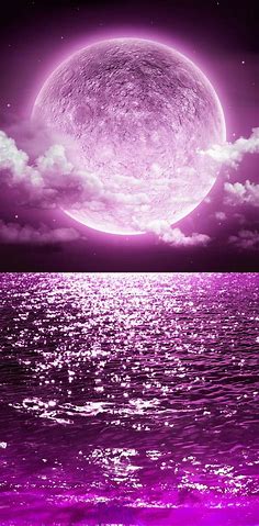 Purple Moon wallpaper by Sixty_Days - 6c - Free on ZEDGE™